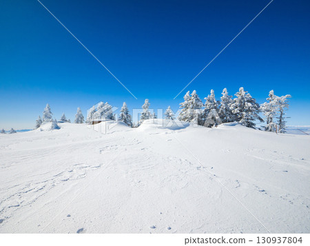 A winter scene of wind-patterned snow and frost-covered trees on the summit of Mt. Yokote (Yamanouchi Town, Nagano Prefecture, Mt. Yokote) 130937804
