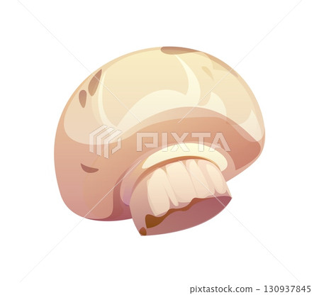 Cartoon raw ripe champignon mushroom vegetable with smooth round beige cap, gills and short thick stem. Vector isolated edible white fungus plant with glossy texture, cooking fresh, raw ingredient Cartoon raw ripe champignon mushroom vegetable with smooth round beige cap, gills and short thick stem. Vector isolated edible white fungus plant with glossy texture, cooking fresh, raw ingredient 130937845