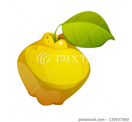 Cartoon quince raw ripe fruit with yellow skin, rounded bumpy shape and a vivid green leaf. Vector sweet healthy food, vegan snack and organic plant ingredient for autumn crop, jam, dessert and diet 130937860