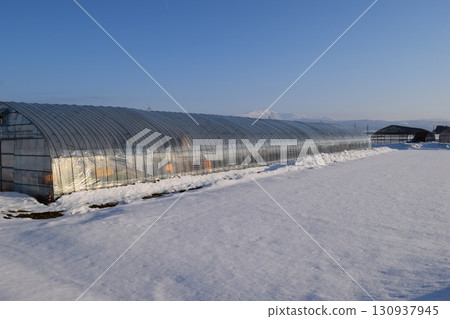 大雪地區乙烯基溫室 130937945