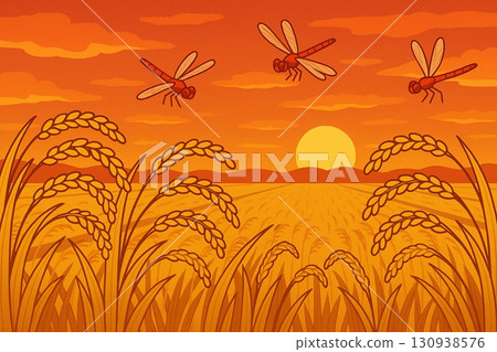 Autumn landscape rice field rice sunset sky red dragonfly vector 130938576