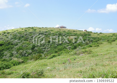 從隱岐國賀海岸展望台眺望的景色 130939522