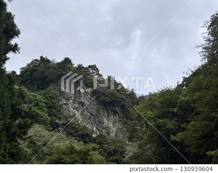 神戶伊娃 130939604