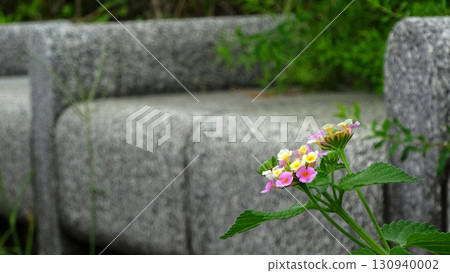 Lantana blooming near the stone chair 130940002