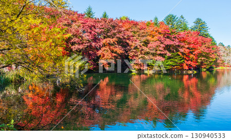 Karuizawa, Kumoba Pond (Autumn) Karuizawa, Kumoba Pond (Autumn) 130940533