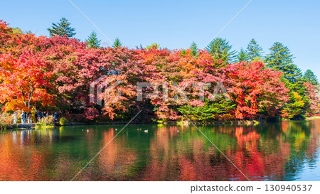 輕井澤、雲場池（秋季） 130940537