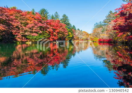 輕井澤、雲場池(秋季) 輕井澤、雲場池(秋季) 130940542