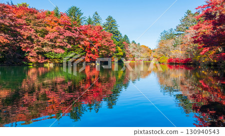 Karuizawa, Kumoba Pond (Autumn) 130940543