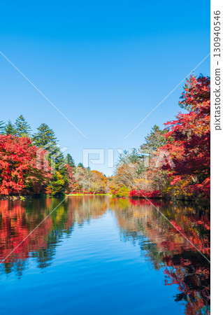 Karuizawa, Kumoba Pond (Autumn) 130940546