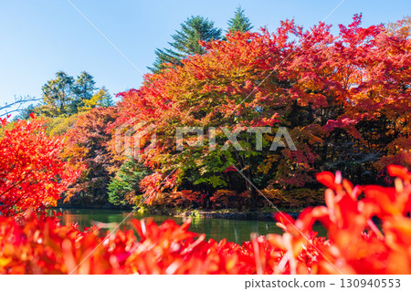 Karuizawa, Kumoba Pond (Autumn) 130940553