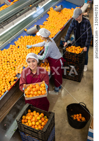 Team of workers in colored uniforms on citrus sorting line at warehouse. Top view. Team of workers in colored uniforms on citrus sorting line at warehouse. Top view. 130940701