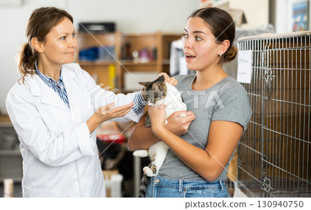 Young girl choosing kitten for adoption in animal shelter Young girl choosing kitten for adoption in animal shelter 130940750