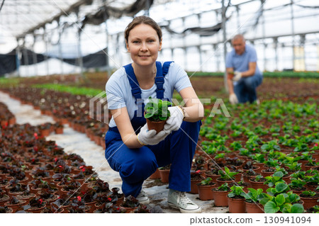 Adult woman holding flower pot with peppermint Adult woman holding flower pot with peppermint 130941094