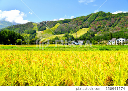 View of the Hakuba Iwatake Mountain Resort area (Hakuba Village, Nagano Prefecture) [September 2025] 130941574