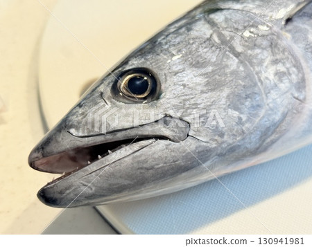 新鮮鰹魚的表達 新鮮鰹魚的表達 130941981