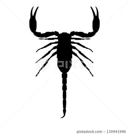 Scorpion silhouette Scorpion silhouette 130941996