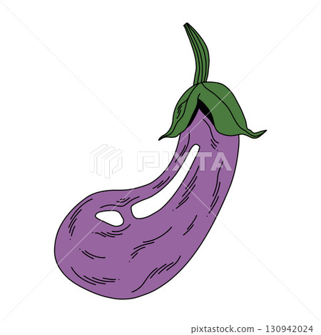 Isolated vector drawing of purple eggplant vegetable on white 130942024