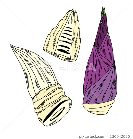 A set of raw bamboo shoots for eating and cooking in leaves and peeled A set of raw bamboo shoots for eating and cooking in leaves and peeled 130942030