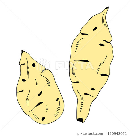 Collection of yellow raw sweet potato, whole potatoes on white background Collection of yellow raw sweet potato, whole potatoes on white background 130942051