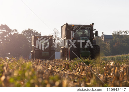 Scenic view tractor with trailer drives through harvested cornfield under bright sun, raising dust in warm light. Rural farmland extends into horizon with golden stubble and green crops Scenic view tractor with trailer drives through harvested cornfield under bright sun, raising dust in warm light. Rural farmland extends into horizon with golden stubble and green crops 130942447