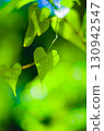 Heart leaves 130942547