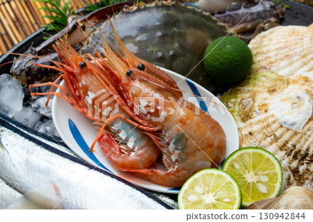 Peony shrimp 130942844