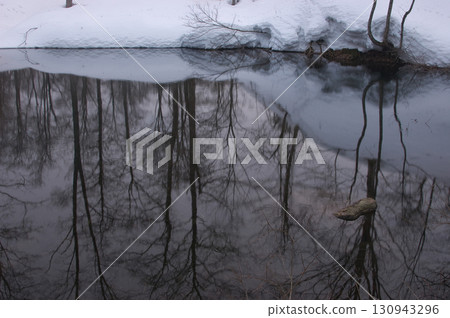 森林的倒影 森林的倒影 130943296