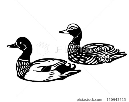 A dude of a duck 130943313