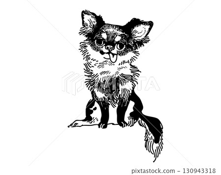 吉娃娃，觸感細膩 130943318