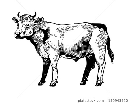 A cow with a detailed touch 130943320