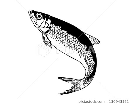 細節豐富的魚 細節豐富的魚 130943321