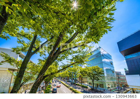 Tokyo cityscape in Japan: Overlooking the lush greenery of Omotesando, Route 413, Omotesando Hills, Dior, and more 130943663