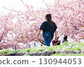 A woman enjoying the Kawazu cherry blossoms in full bloom 130944053