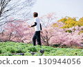 A man enjoying the Kawazu cherry blossoms in full bloom 130944056