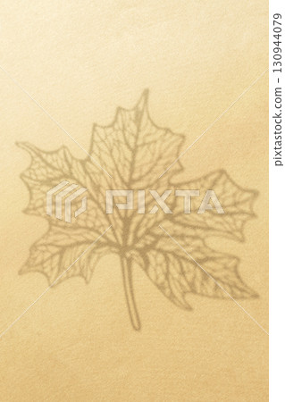 Leaf silhouette with copy space 130944079