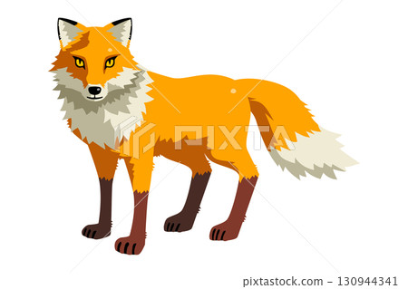 Fox whole body Fox whole body 130944341