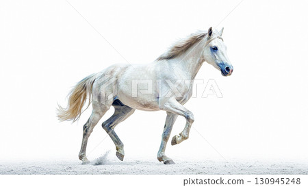 Hakuba Hakuba 130945248