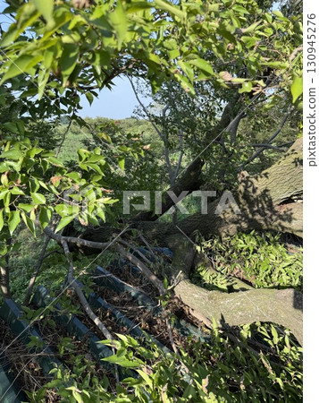 陣風損害 陣風損害 130945276
