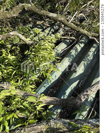 陣風損害 130945279