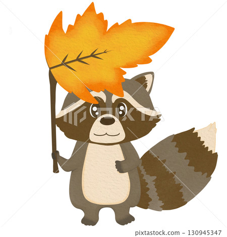 Cute raccoon holding big autumn leaf as umbrella, cartoon style, transparent PNG Cute raccoon holding big autumn leaf as umbrella, cartoon style, transparent PNG 130945347