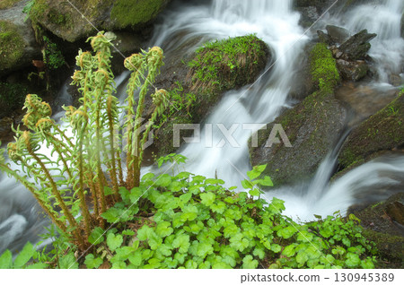 Mountain streams and budding Mountain streams and budding 130945389
