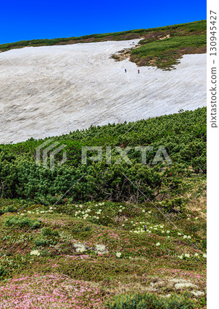 Climbing Mount Daisetsu in early summer, enjoying the contrast of green and snow 130945427