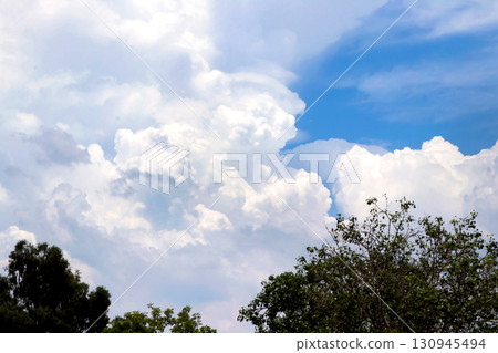 Dramatic White Clouds and Blue Sky Above Green Trees 130945494