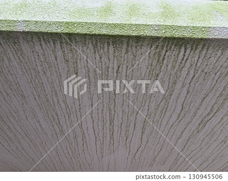 Moss, Moss stains 130945506