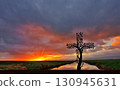 Tree Cross Waterway Sunrise 130945631