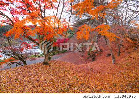 Falls of Sogaki in autumn Falls of Sogaki in autumn 130945989