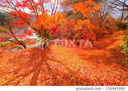 Falls of Sogaki in autumn 130945990