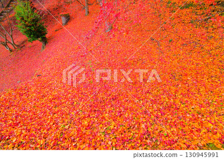 Falls of Sogaki in autumn 130945991