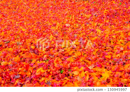 Falls of Sogaki in autumn 130945997