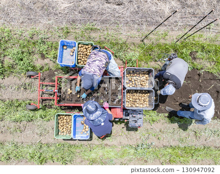 Harvesting work 130947092